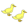 ducks. Picture