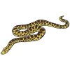 un+serpent Picture