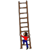 Ladder.%0D%0ALow+step.%0D%0AStep+on+low.%0D%0AStep+on+low+step. Picture