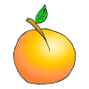 apricot Picture