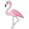 Flamenco+Flamingo Picture