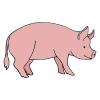 Pork Picture