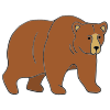 What+color+is+the+bear_ Picture