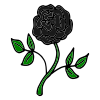 Black Rose Picture