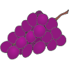 Purple+Grapes Picture
