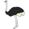 Avestruz+Ostrich Picture