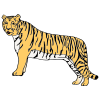 un+tigre Picture