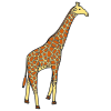 une+girafe Picture