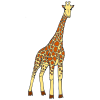 Giraffe+is+tall Picture
