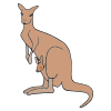 un+kangourou Picture