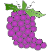grapes+-+uvas Picture