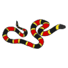 Serpent Picture
