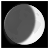 Lunar Picture
