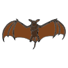 Brown+bat_+brown+bat Picture