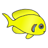 angelfish Picture