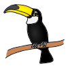 Tuc%C3%A1n+Toucan Picture