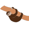 Sleep+like+a+sloth Picture