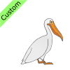 pelican Picture