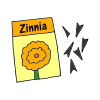 zinnia Picture